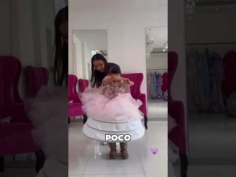Esta Madre Cumplió El Sueño De Su Hija 😯❤️ thumbnail