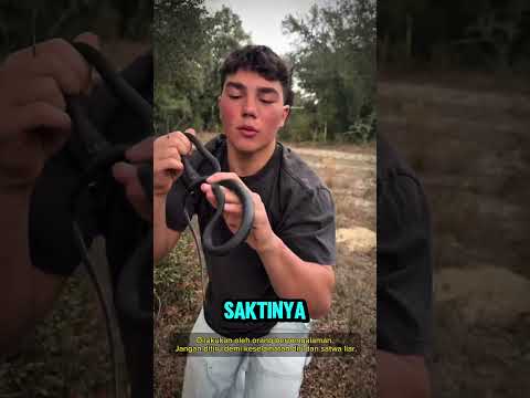 Jurus Sakti Penakluk Ular ⁉️😲 thumbnail