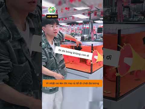 Anh chàng tò mò gói gì đó đã làm trong bể cá của anh #shorts thumbnail