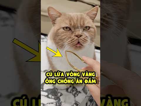 Tặng Vàng Fake Cho Vợ Và Nhận Trái Đắng thumbnail