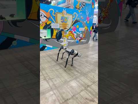 360도 회전 연속으로 하는 강아지 thumbnail