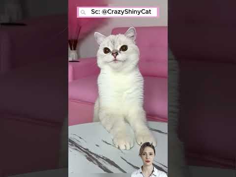 🍪 Oreo giả đất và cái kết #shorts thumbnail