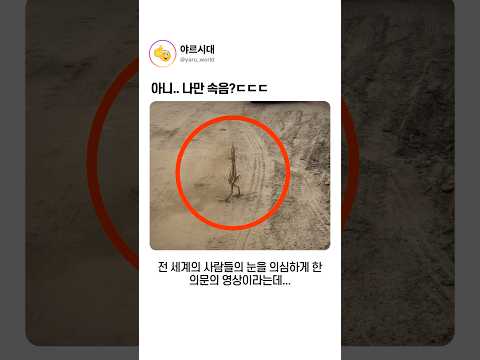 아니.. 나만 속음?ㄷㄷ thumbnail