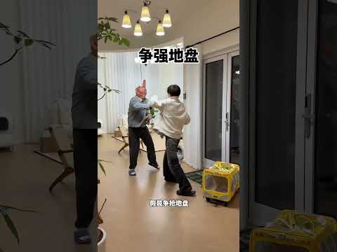 【牛奶是只猫】为了小猫我也是拿出了毕生的演技 thumbnail