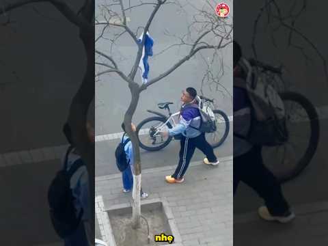 Cậu học sinh tốt bụng lấy áo trên cây thumbnail