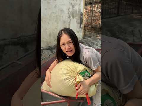 Anh chồng chiều vợ | Sao Không Sợ Vợ #shorts thumbnail