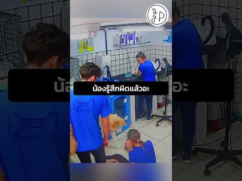 น้องรู้สึกผิดแล้วอะ thumbnail
