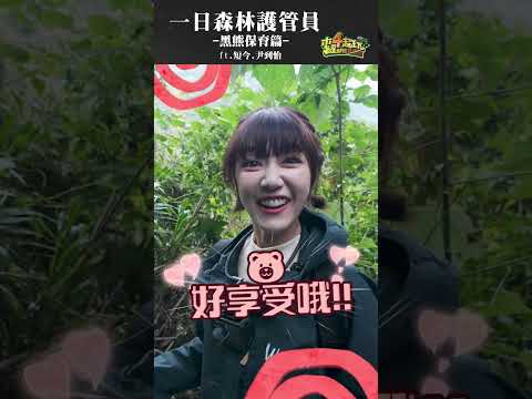 沒想到開箱到精緻的「熊窩」，這算是山景別墅等級了吧 ! ! #木曜4超玩 #一日系列 #泱泱 #短今 #尹到怡 #台灣黑熊 #森林護管員 #黑熊保育 #shorts thumbnail