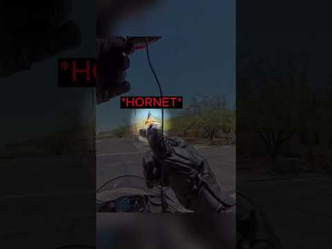 Biker Makes the Most Unexpected Friend… thumbnail