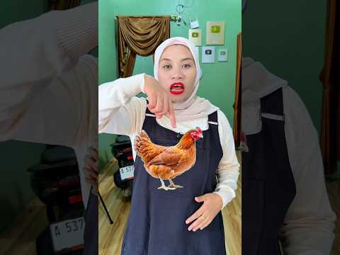Suara ayam betina kokoketok.suara ayam jantan kukuruyuuuuuk thumbnail