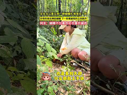 女生在山裡見到一群蝴蝶扎堆落在一起，好奇的想去捧起蝴蝶，下一秒竟被驚的立刻跑開，網友：蝴蝶不僅喜歡花也喜歡腐肉！#shorts thumbnail
