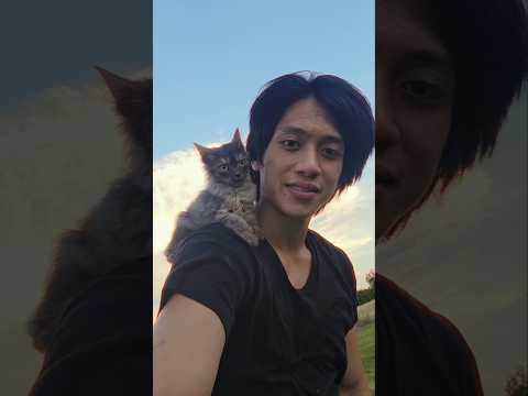 cat thumbnail