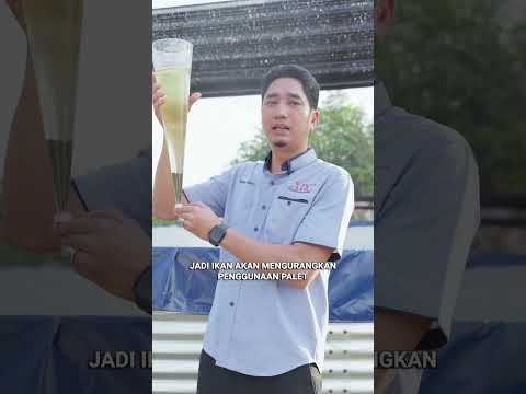 Apa Itu Biofloc? Sistem Ternak Ikan Tanpa Tukar Air #shorts thumbnail