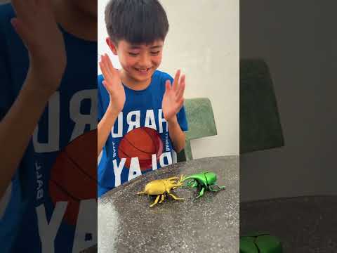 CCT - Anh trai keo kiệt || My stingy older brother. thumbnail