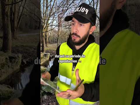 750€ d’amende si ton chien n’est pas attaché en forêt #forêts #chiens #amende thumbnail