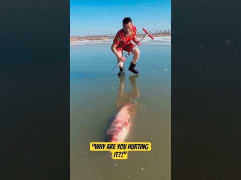 He Wasn’t Hurting the Fish… He Was Saving It ❤️ (Emotional) #shorts #viral #usa thumbnail