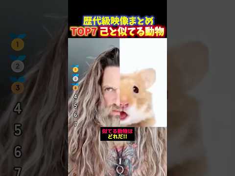 AIに「自分に似てる動物」を聞いたら容赦なかった面白い瞬間TOP7 thumbnail