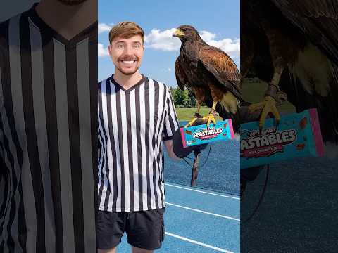 Can A Hawk Deliver Chocolate? thumbnail