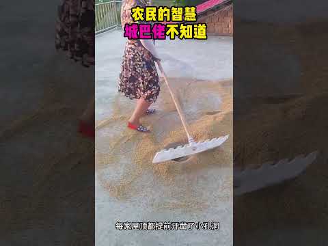 农民的智慧，城巴佬怎会知道？ #感人壹幕 #搞笑 #影視解説 #movie #大熱門 #科普 #影视聚焦 #filmoramobile  #精彩影视 thumbnail