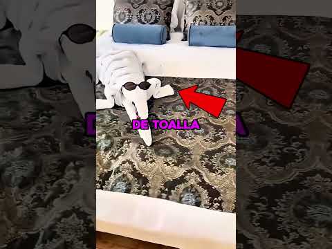 a más propina más detalle con las toallas 💶 #shorts thumbnail