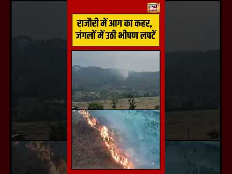 Rajouri में आग का कहर, जंगलों में उठी भीषण लपटें | #viralvideo #viralnews #shorts thumbnail