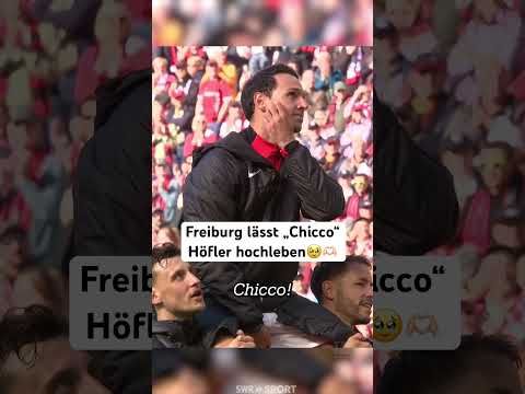 Nicolas Höfler beendet seine Karriere beim SC Freiburg nach 382 Spielen? thumbnail