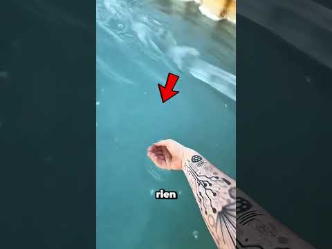 Est-ce de l'eau ? À vous de juger 😨 thumbnail