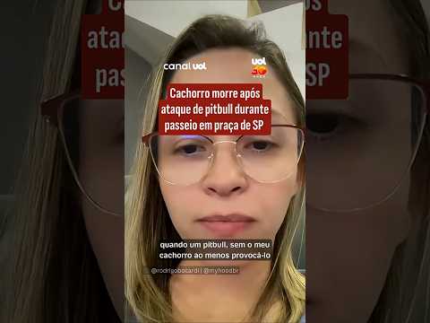 Cachorro morre após ataque de pitbull durante passeio em praça de SP thumbnail