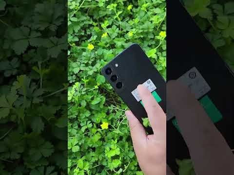 A flower, a blade of grass, a world s22ultra thumbnail