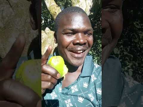 Mpenva Mpenva Nzina Ngaziwa By John King Video Challenge 4 thumbnail