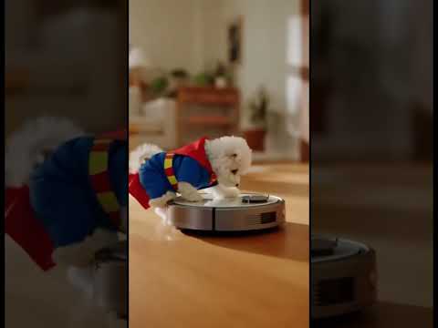 Kindness 🐶 Super Pup's Roomba Adventure! #kindness #roomba #shorts thumbnail