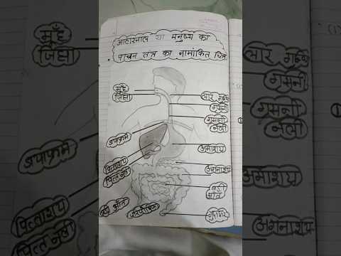 class 10 VIP questions of bio science thumbnail