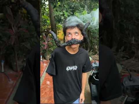 GARA GARA KUMIS BERACUN #shorts #lucu #art #trending thumbnail