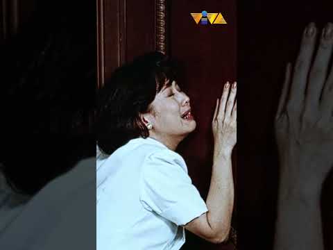 Nagmamakaawa si Vilma kay Dindo. #shorts #movieclips #vivafilms thumbnail