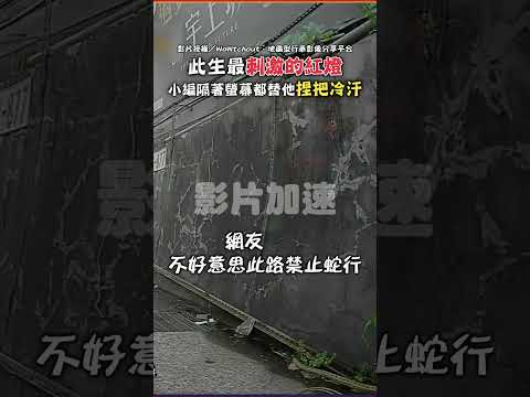 此生最刺激的紅燈 小編隔著螢幕都替他捏把冷汗 #shorts #等紅燈 #害怕 #刺激 #蛇 #騎士 #機車 #蛇行 #騎士 #害怕 #行車紀錄器 #WoWtchout @ChinaTimes thumbnail