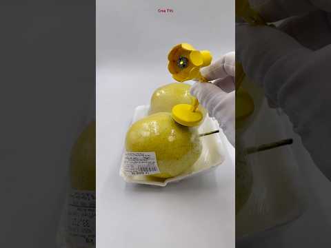 Two Paradise Pears Spoof Yellow Luxo Lamp #shorts thumbnail