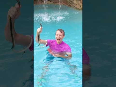 Snake in the Pool! 😱🐍 thumbnail