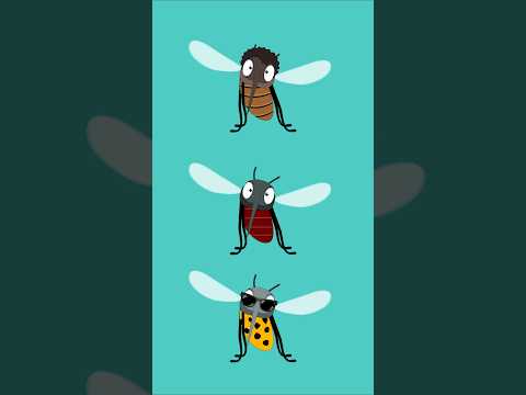 اغنية البعوضة لدغت  -  The mosquito bit song thumbnail