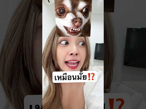 ทุกคนว่าเหมือนมั้ย555 #jamsai #jamsaijs #แจ่มใส thumbnail