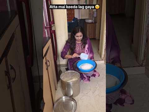 "keede lage hue atta ka kya kare." ??? #relatable #trending #shorts thumbnail