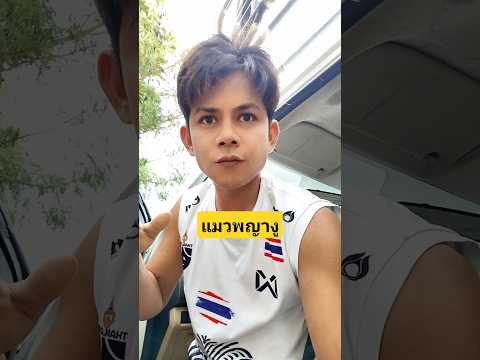 เรียกแมวพญางูกินข้าว #บังเอิญเจอ #funny #comedy #การแสดงเท่านั้น thumbnail