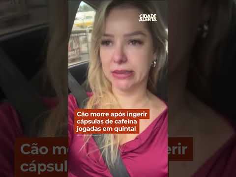 Cão morre após ingerir cápsulas de cafeína jogadas em quintal #Shorts #CidadeAlerta thumbnail