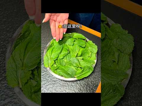 店员：我真的一股无名火。。。? #探店美食 #薄荷 #牛肉 #抽象 thumbnail