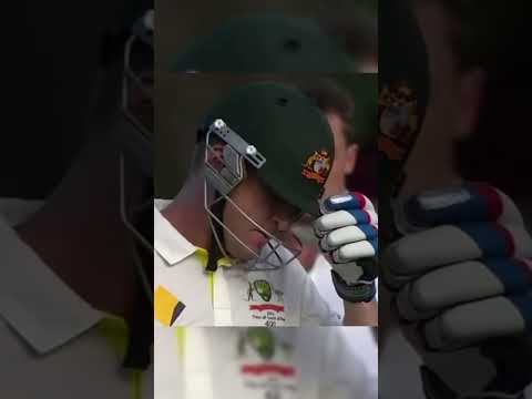 Dale Steyn vs Brad Haddin thumbnail