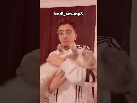 KEDİMİ KEL YAPTILAR.. 👨‍🦲🐈 thumbnail