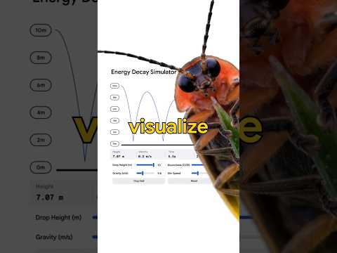 Study better with simulations in Search 💡 thumbnail