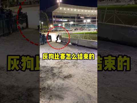 他的工作只有15秒，但失误会造成大伤害！#shorts #短视频 #趣事 #有趣 thumbnail