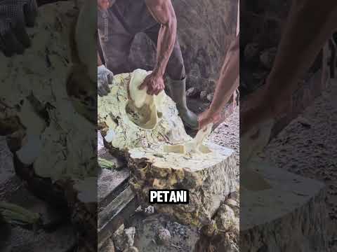 Beban Penjual Karet Mentah! thumbnail