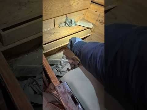 GEHEIMFACH entdeckt! thumbnail
