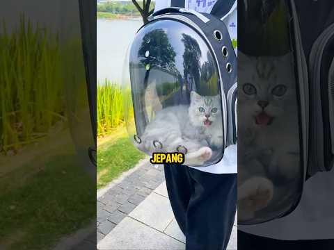 3 Hal yang Dikira Berasal dari Jepang, Ternyata Bukan❗😮 #shorts thumbnail